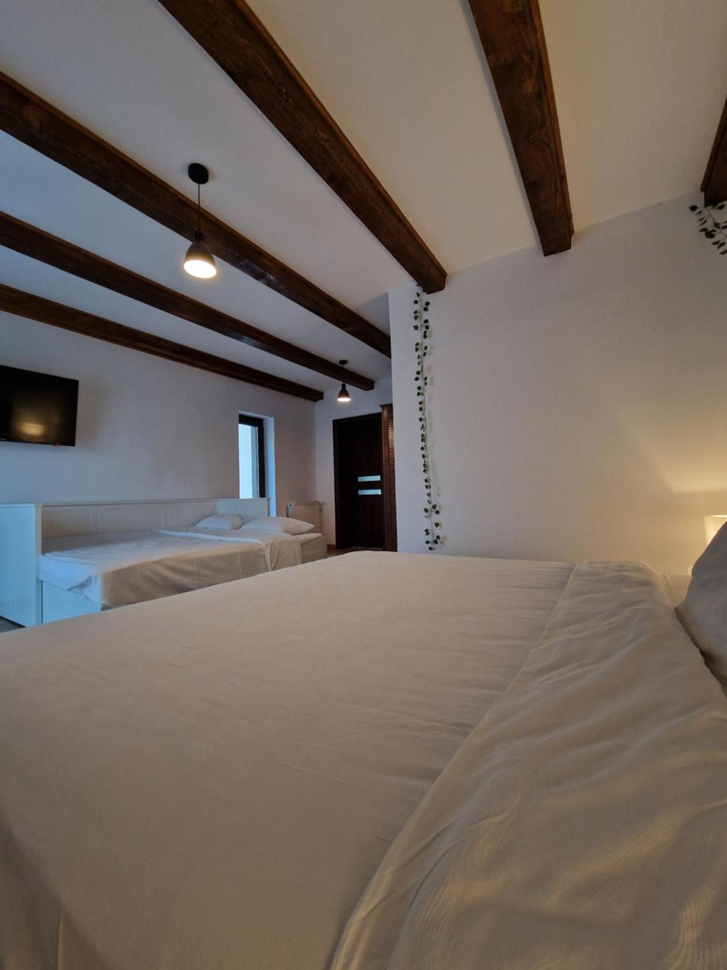 Cabana Din Padure Guest house